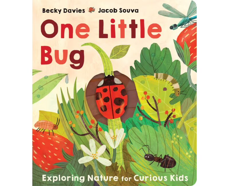 One Little Bug