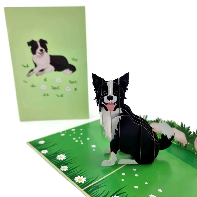 Border Collie Dog Pop Up Card