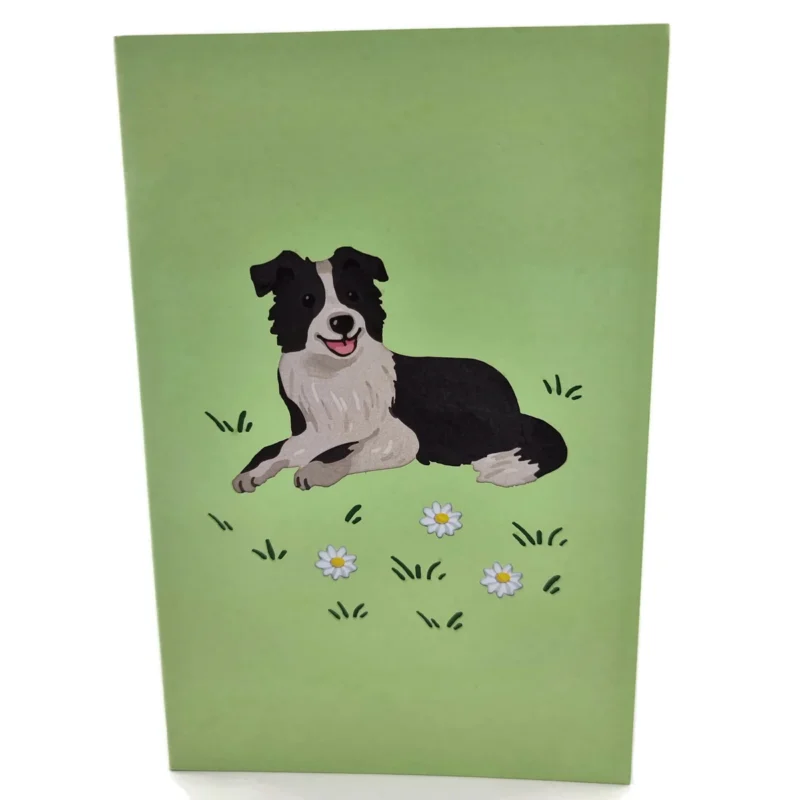 Border Collie Dog Pop Up Card - Image 3