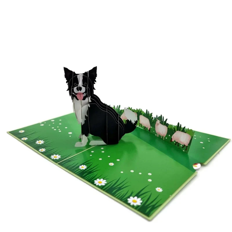Border Collie Dog Pop Up Card - Image 2