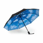 Mini Sky Umbrella